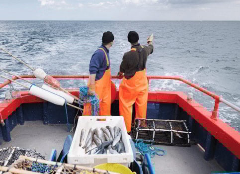 pêche sur un bâteau