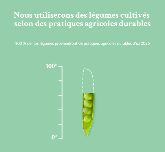 Agriculture durable : la culture des légumes